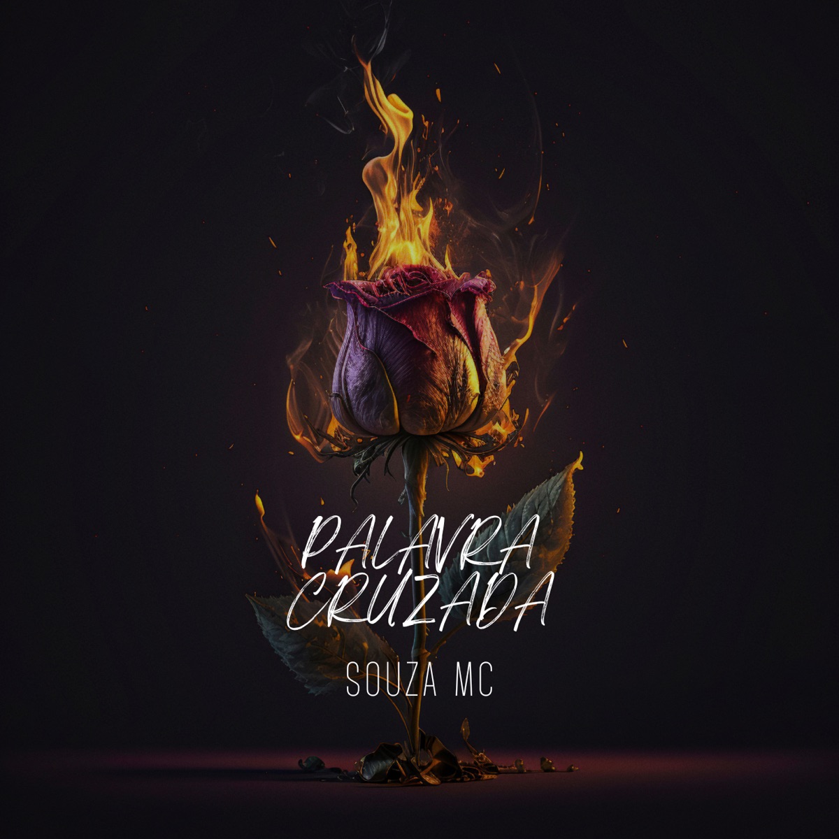 Palavra Cruzada - Single by SOUZA MC album cover