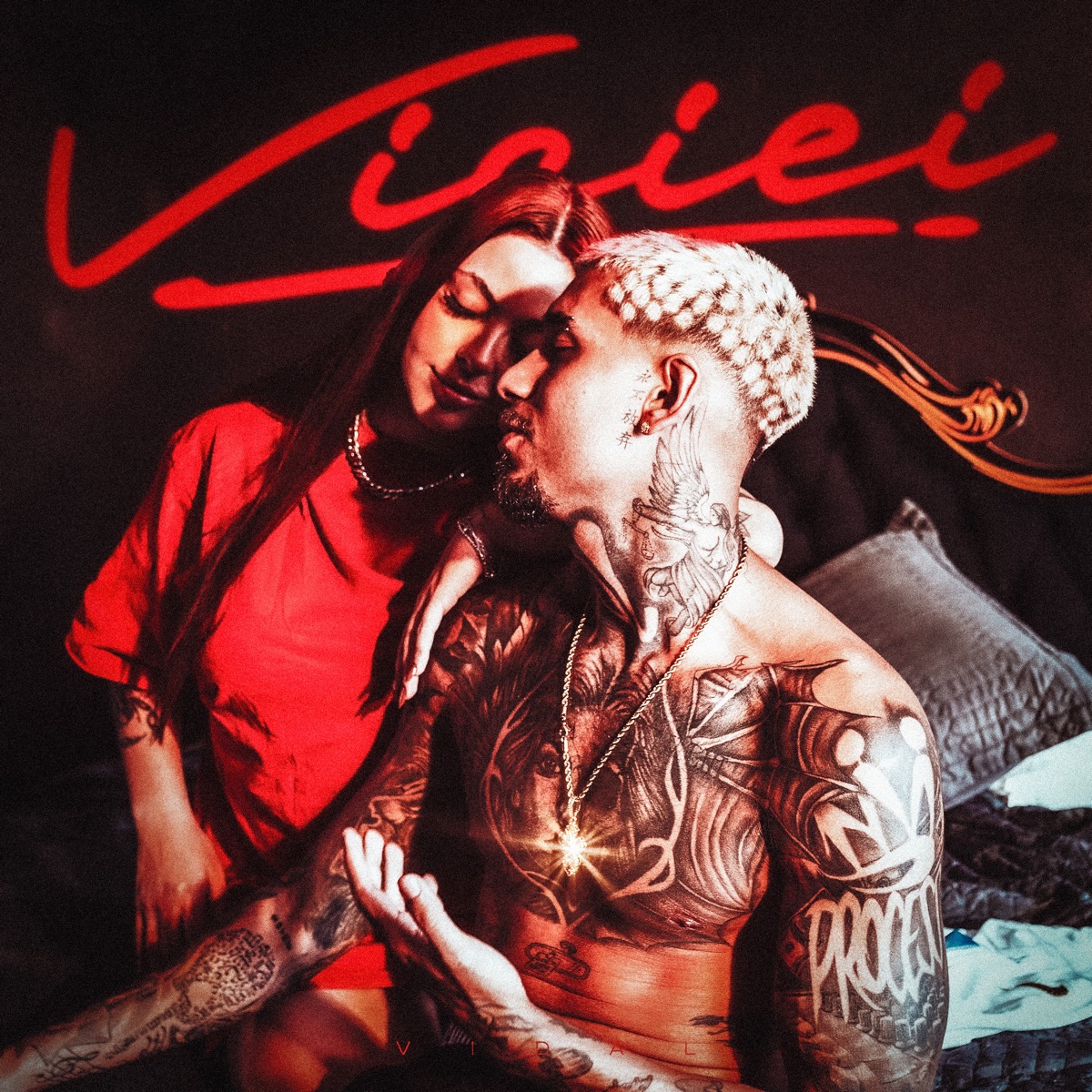 Viciei - Single by Tropa da W&S & Vidal album cover