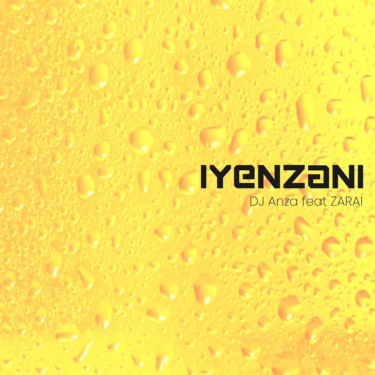 iYenzani (feat. ZARAI) - Single by Dj Anza album cover