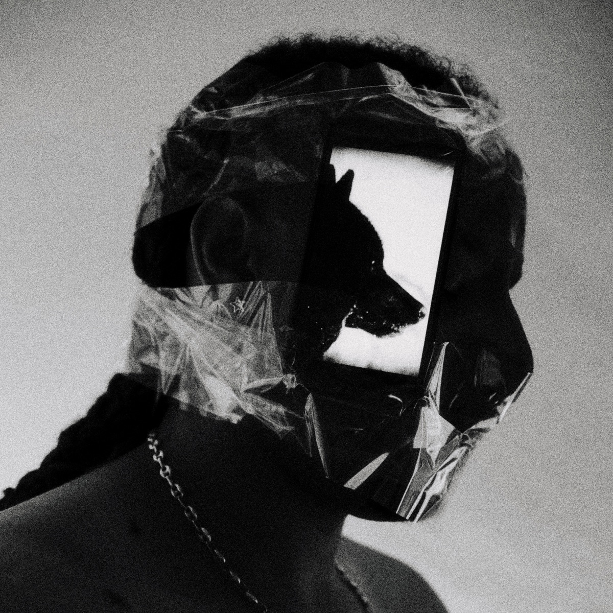 LA NUIT DES LOUPS by Sadandsolo album cover