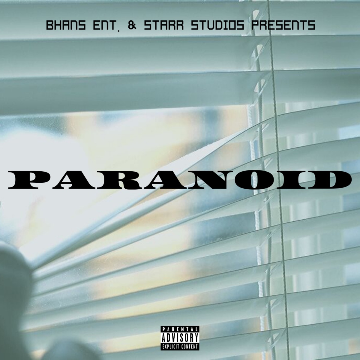 Paranoid (feat. Zeus & Romestarr) - Single by Troy Swift album cover