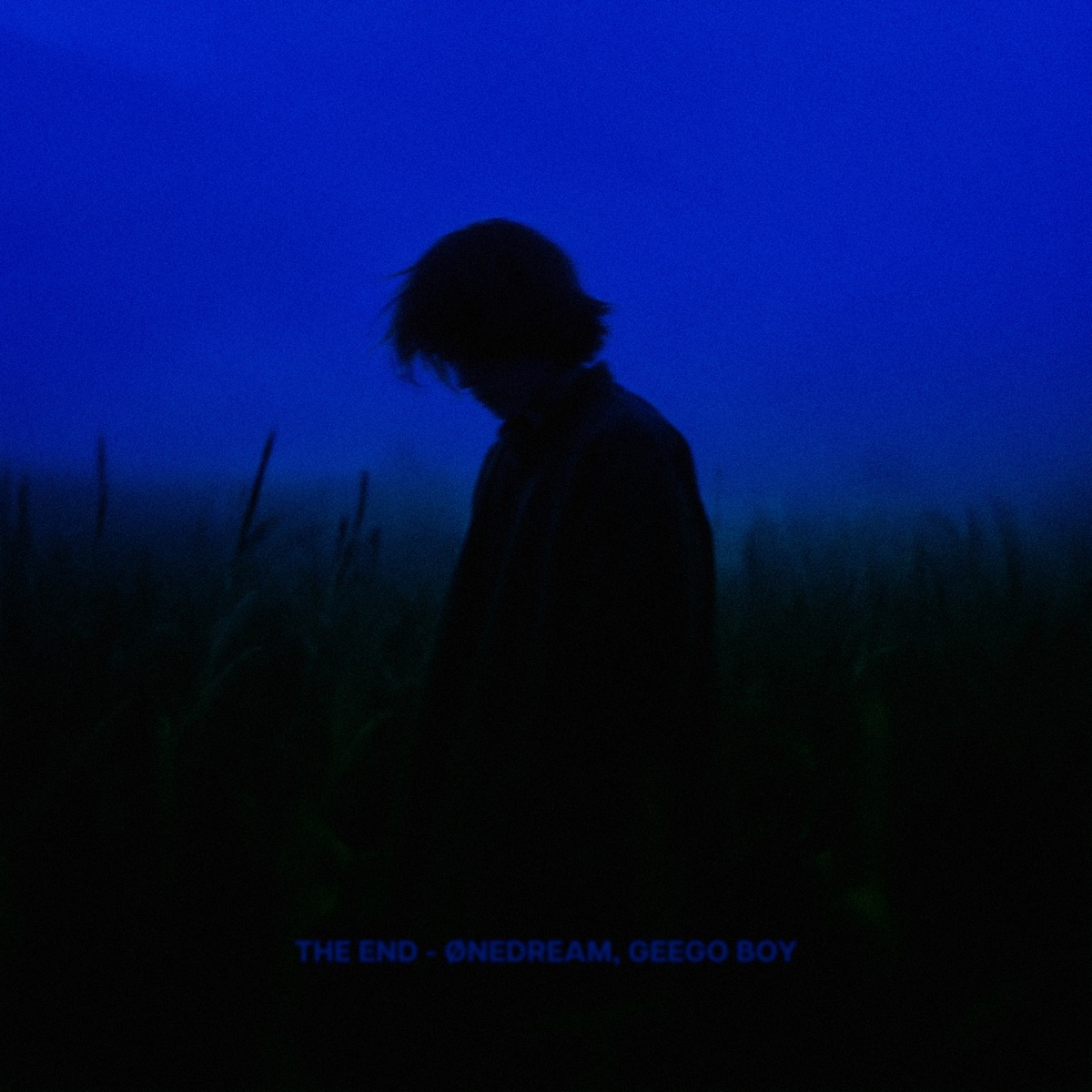 the end - Single by Ønedream & Geego Boy album cover