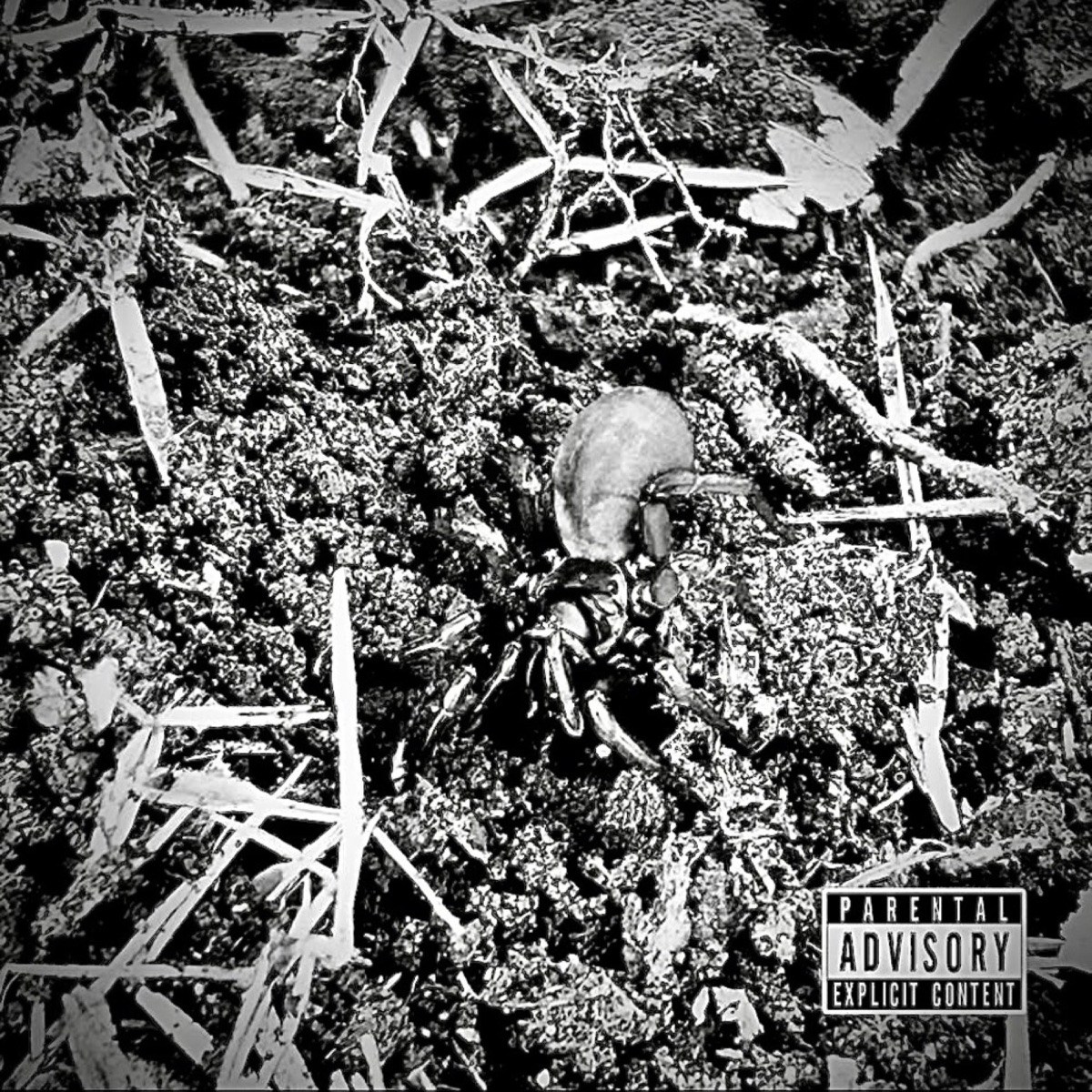 Back to it (feat. Chinaman & 4L Hundo) - Single by Toa$ted album cover
