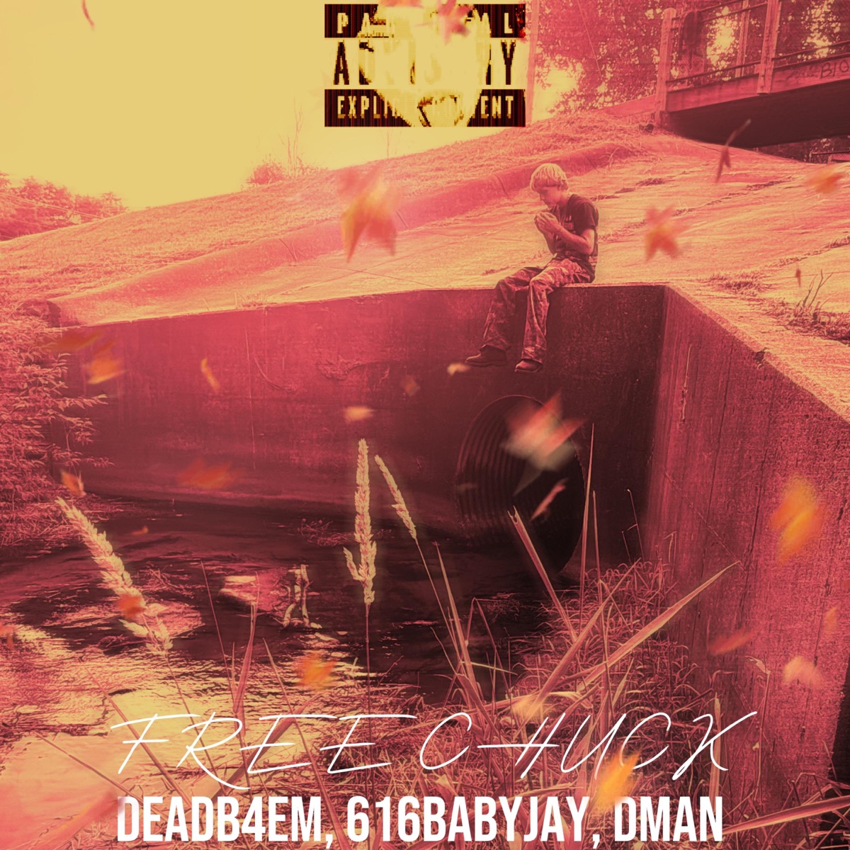 FREE CHUCK (feat. DMAN & 616BabyJay) - Single by DEADB4EM album cover