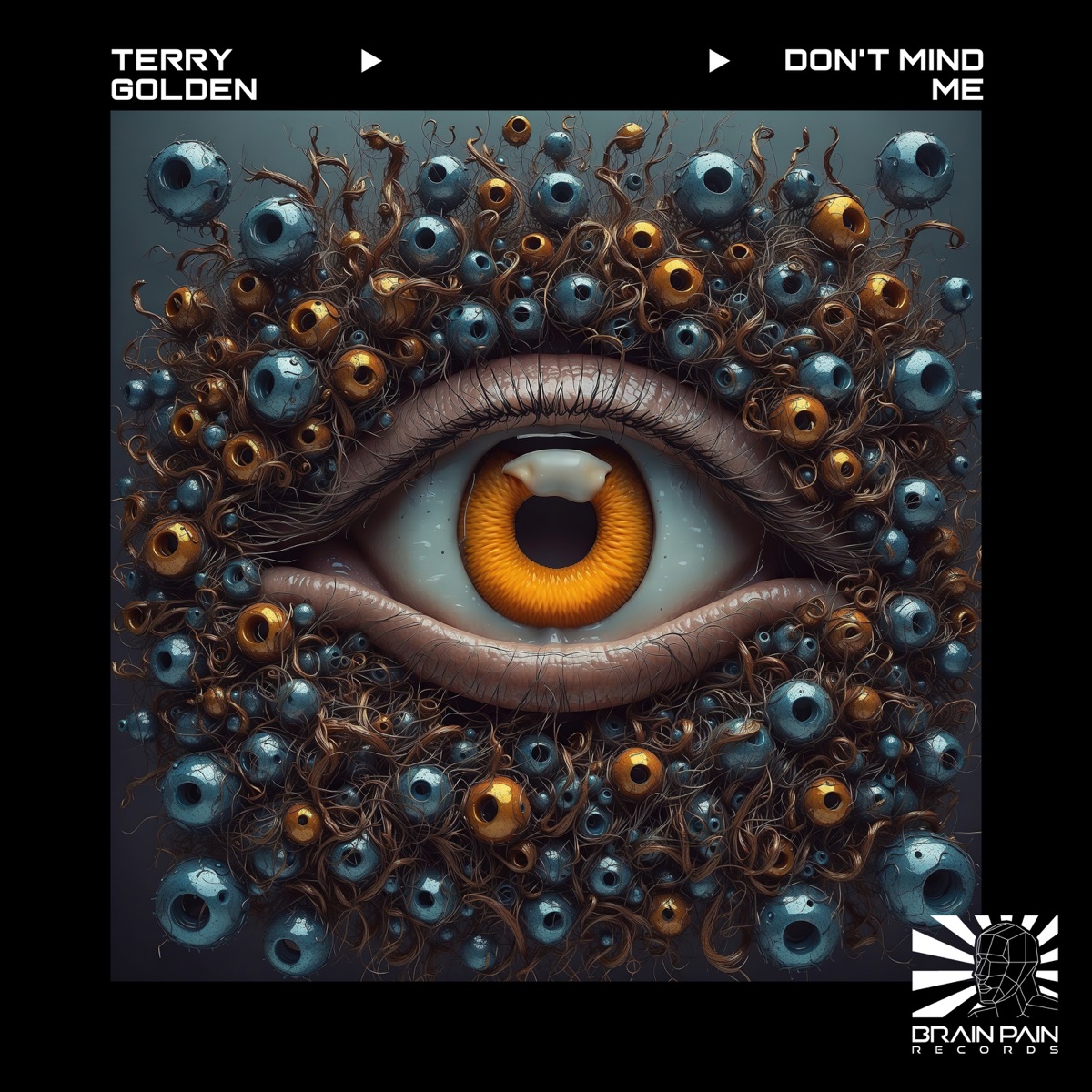 Don't Mind Me - Single by Terry Golden album cover