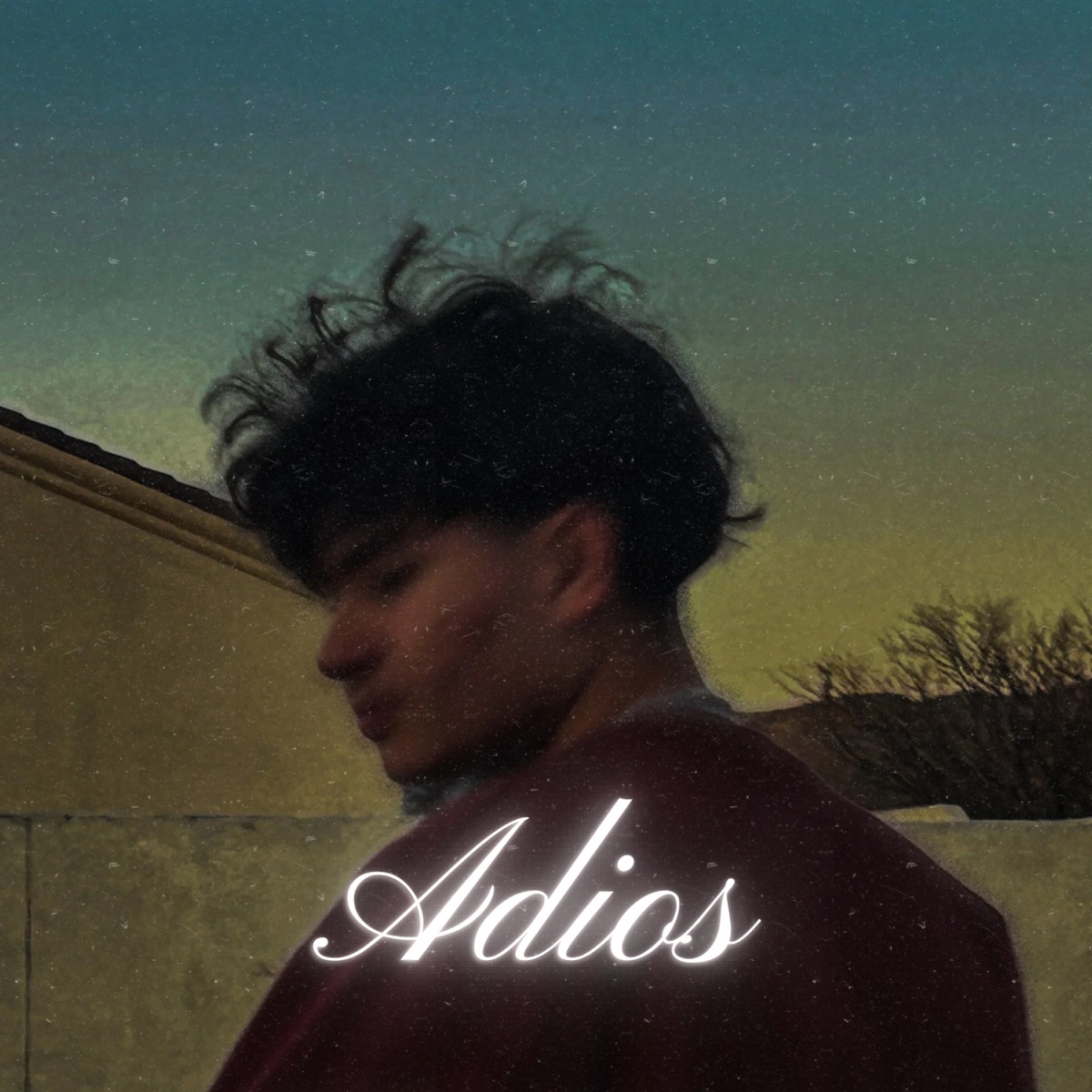 Adios - Single by Abiel Guerrero album cover