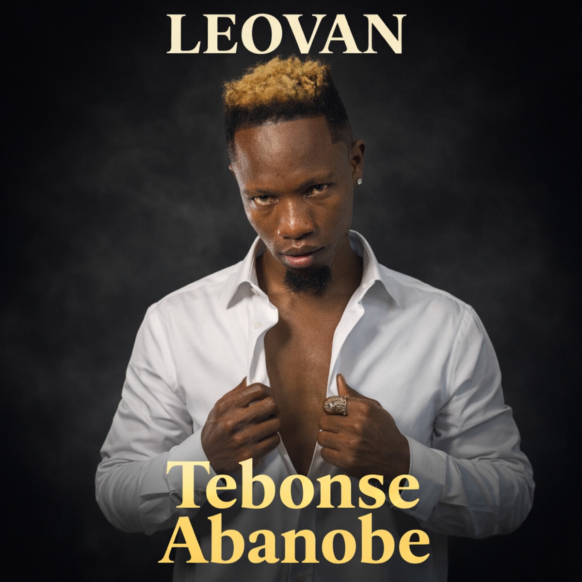 Tebonse Abanobe - Single by Leovan album cover
