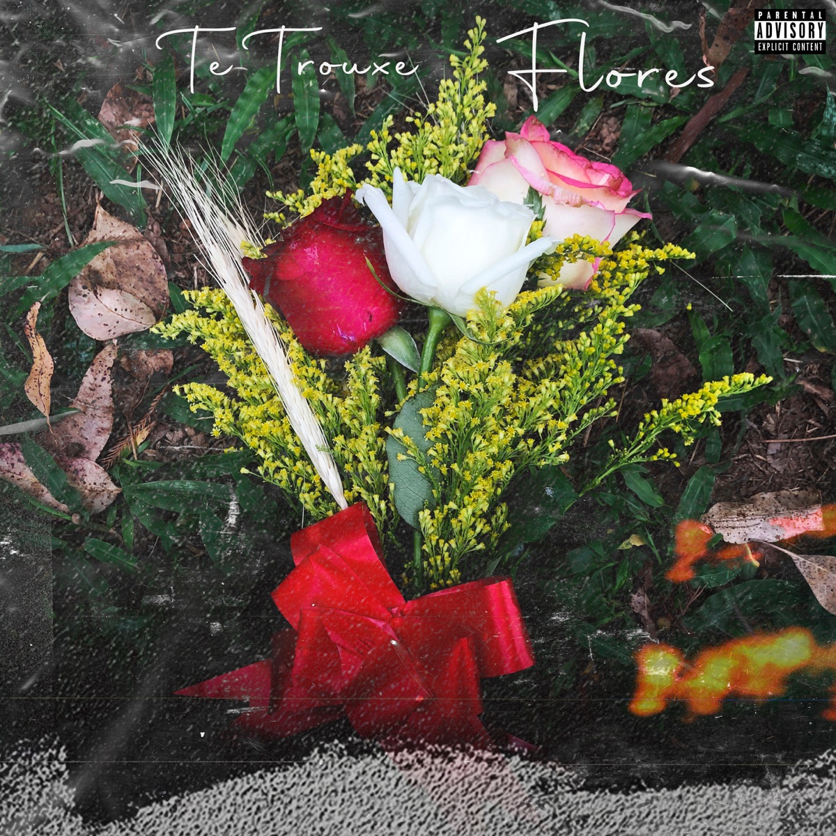 Te Trouxe Flores by Usina de Flows & Lag album cover