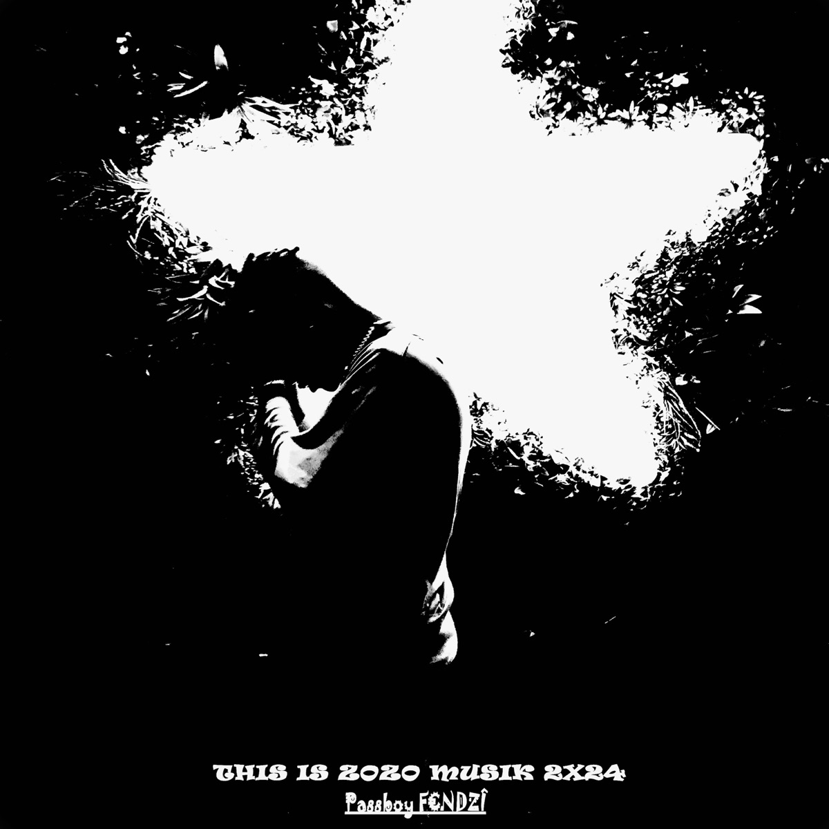 THIS IS ZOZO MUSIK - EP by Passboy F€NDZÎ album cover