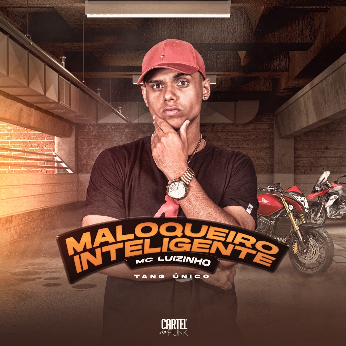 Maloqueiro Inteligente - Single by Mc Luizinho album cover