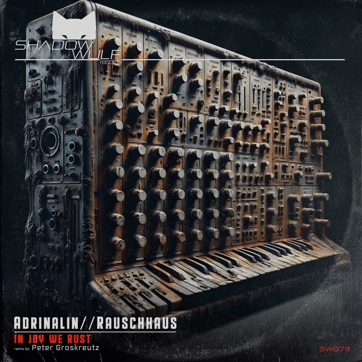In Joy We Rust (Peter Groskreutz Remix) - Single by Rauschhaus & AdriNalin album cover