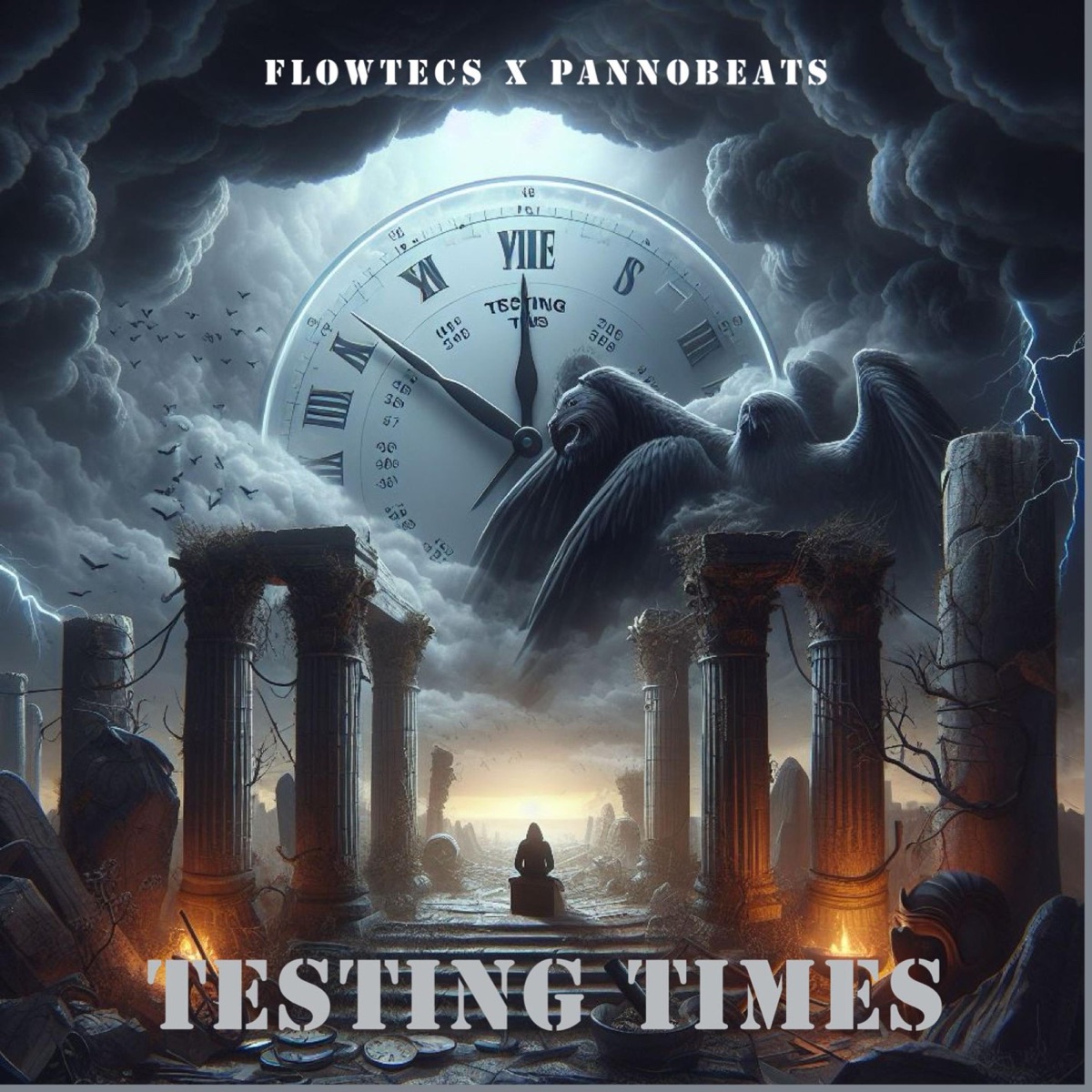 Testing Times (feat. PannoBeats) - Single by Flowtecs album cover