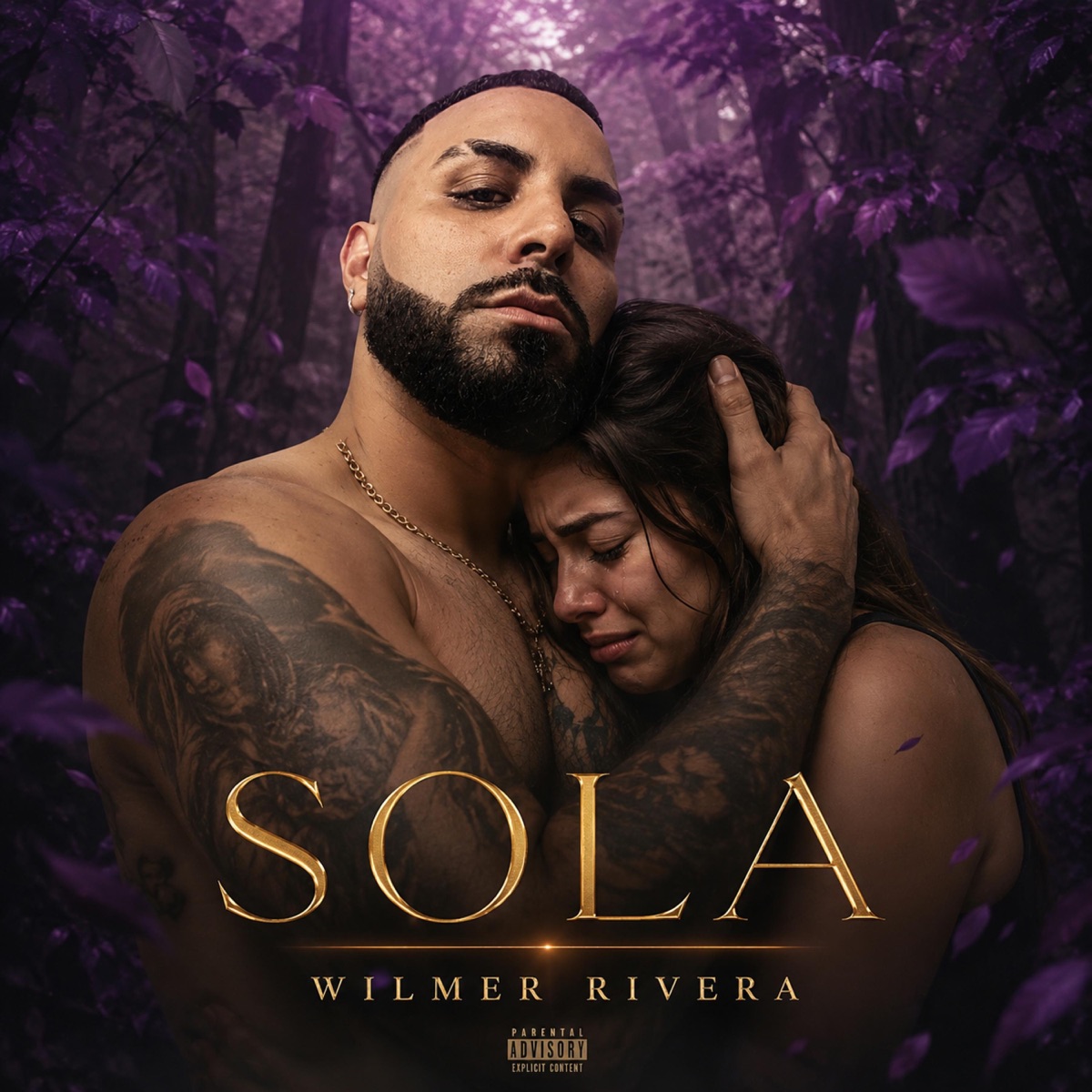 Sola - Single by Wilmer Rivera album cover