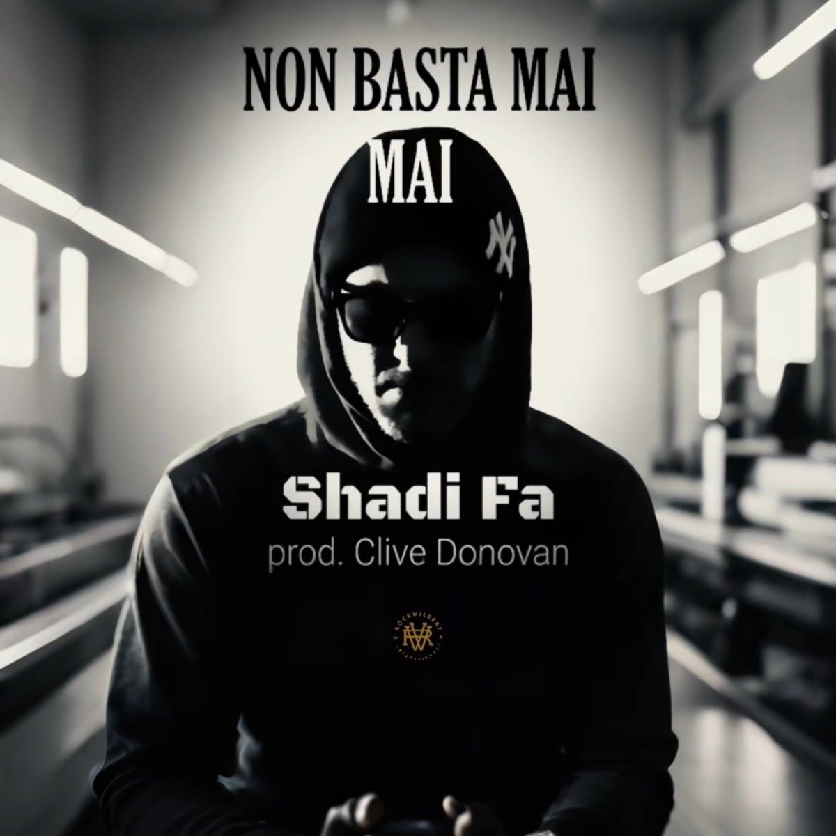 Non Basta Mai (feat. Clive Donovan) - Single by Shadi Fa album cover