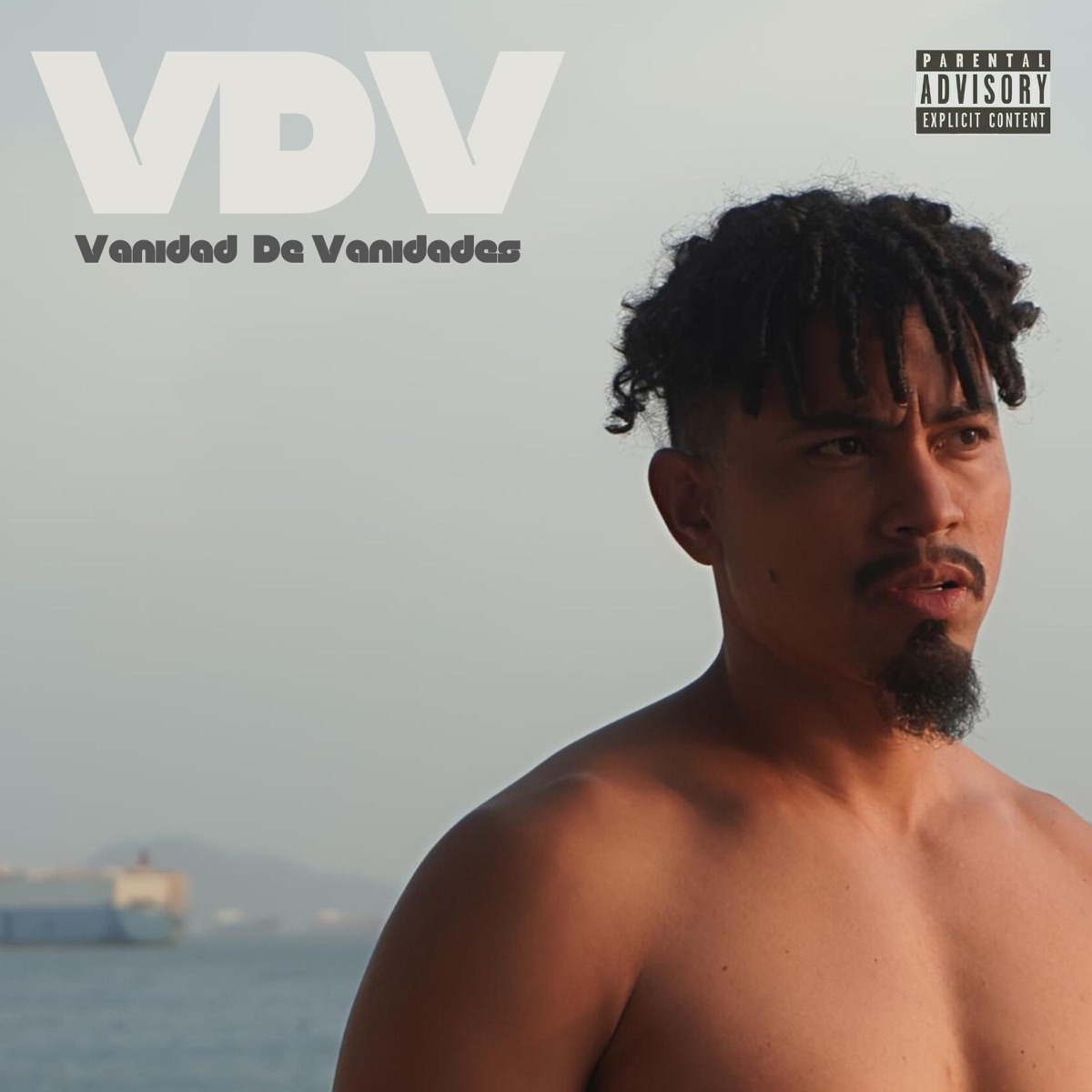 VDV by Javier Uziel album cover