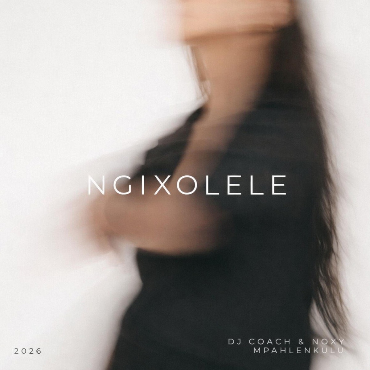 Ngixolele (feat. Noxy Mpahlenkulu) - Single by Dj Coach album cover