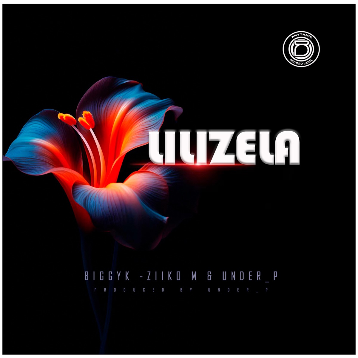 Lilizela - Single by Biggy K, Ziiko M & Under P album cover