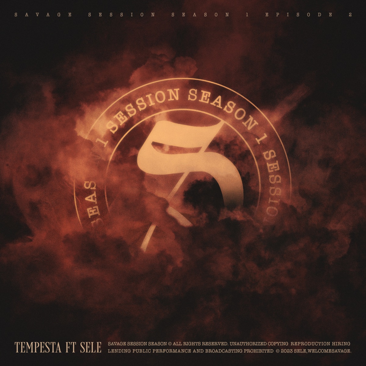 Tempesta (feat. Sele) - Single by CANALE SAVAGE album cover