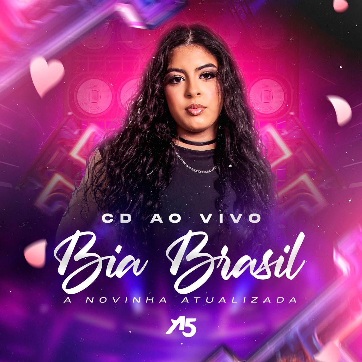 A Novinha Atualizada by Bia Brasil album cover