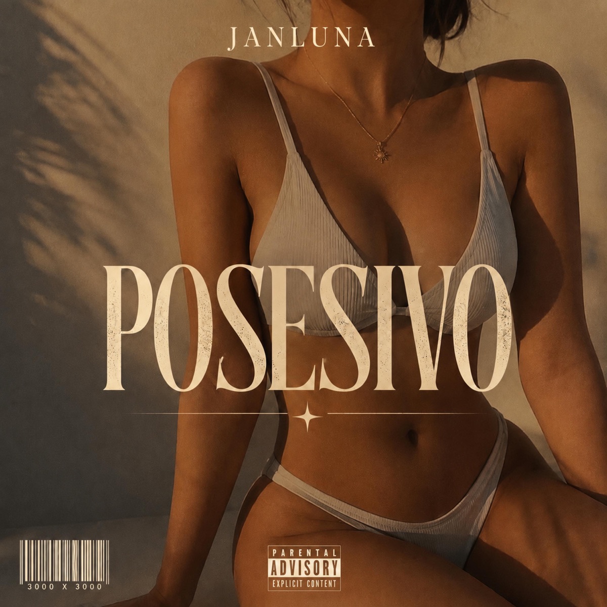 PØSESIVØ (feat. OLMEDV) - Single by JANLUNA album cover
