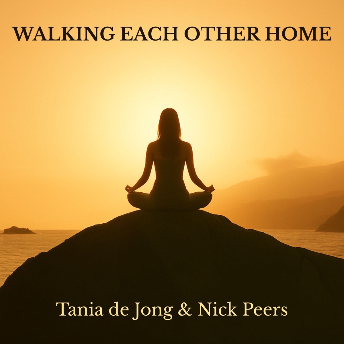 Walking Each Other Home - Single by Tania de Jong & Nick Peers album cover