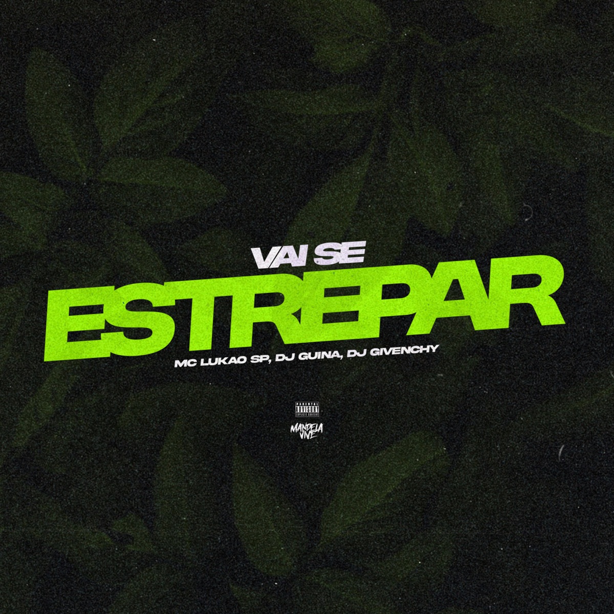 Vai Se Estrepar - Single by DJ Givenchy, DJ Guina & Mc Lukão Sp album cover