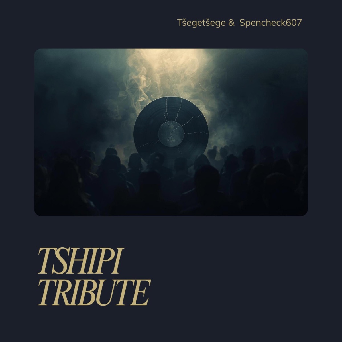 Tshipi Tribute - Single by Tšegetšege & Spencheck607 album cover