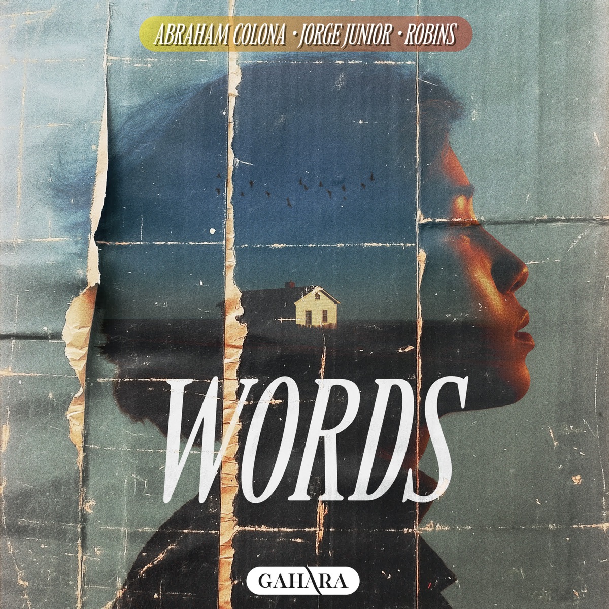 Words - Single by Abraham Colona, Jorge Junior & ROBINS album cover