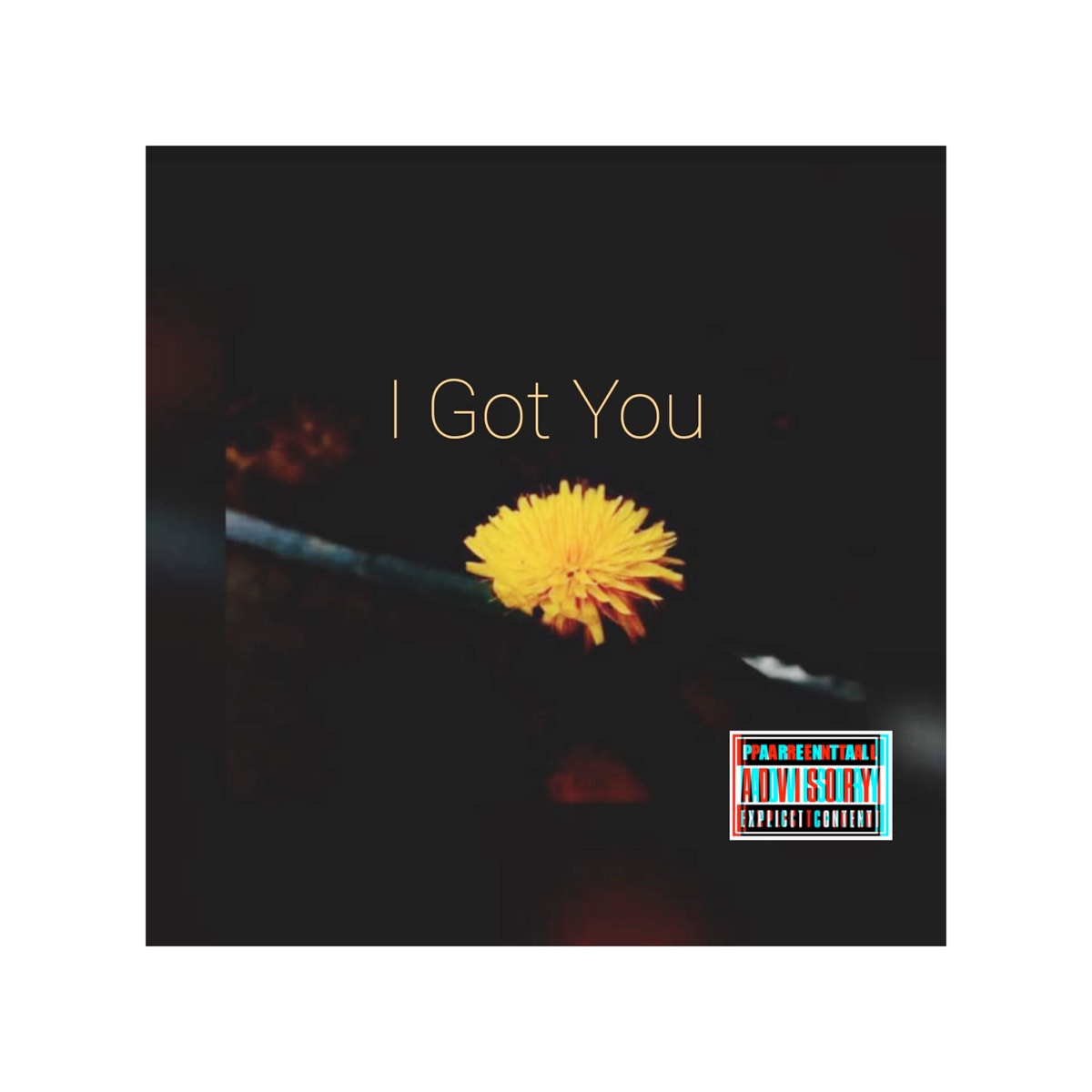 I Got You - Single by Preest album cover