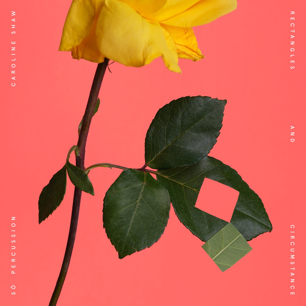 Rectangles and Circumstance by Caroline Shaw & Sō Percussion album cover