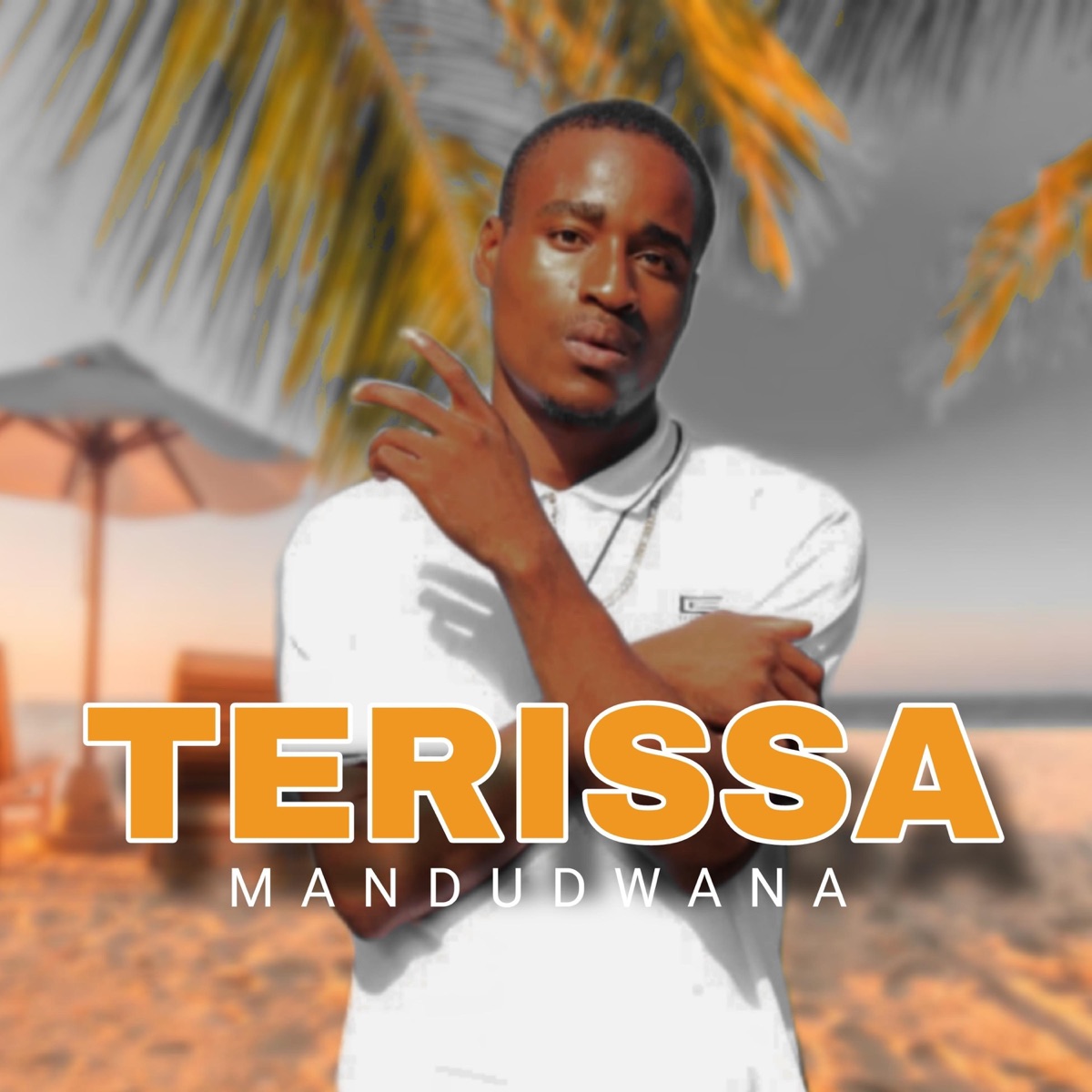 Terissa - EP by Mandudwana, Blouzy & Njamzin album cover