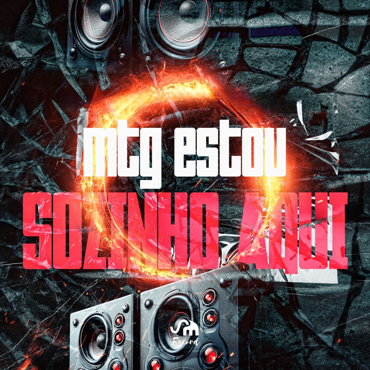 Mtg Estou Sozinho Aqui (feat. DJ LV do Everett & DJIAGUINDOIPB) - Single by Dj Biel Sv, Dj Fofao USA & Mc Mininin album cover