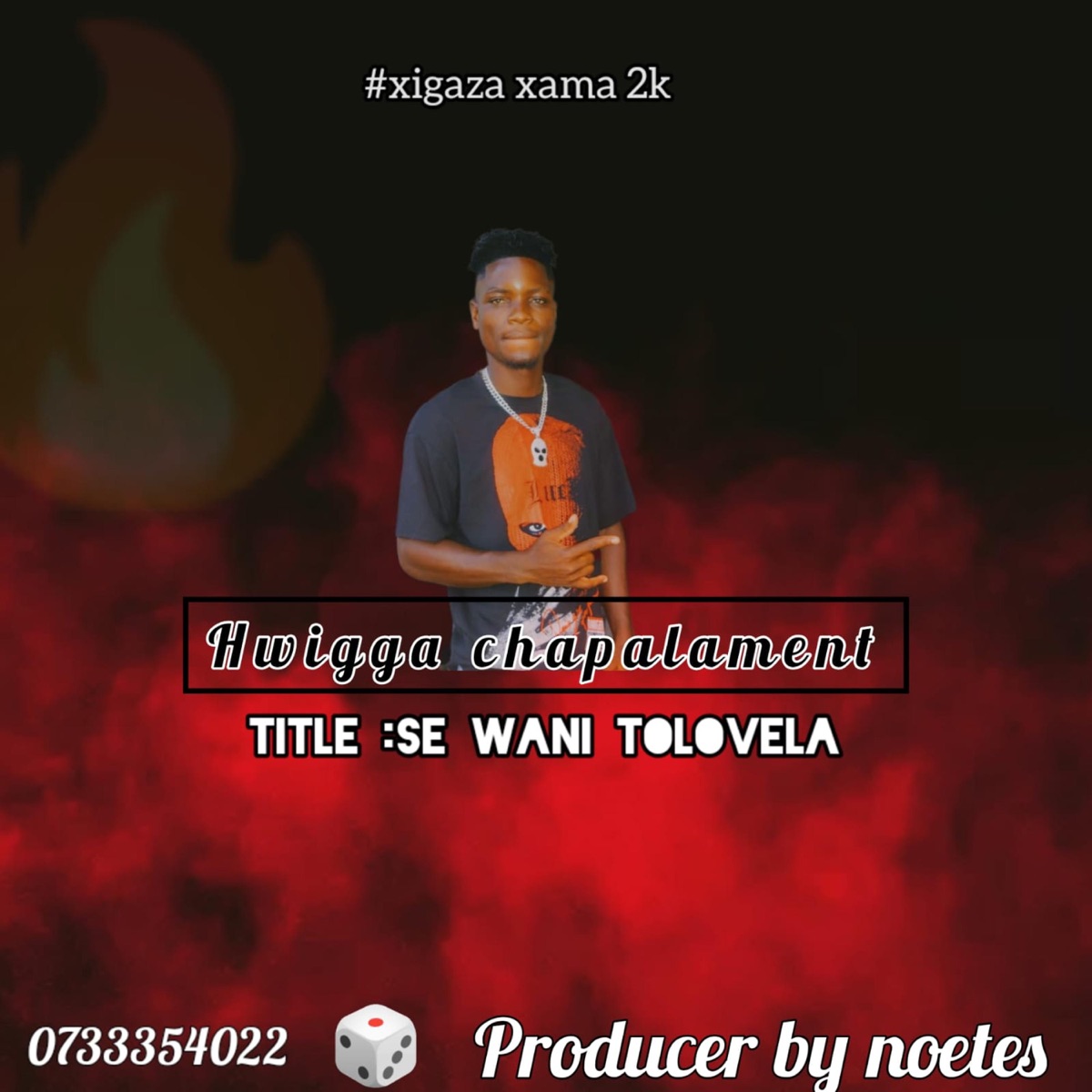 Se Wani tolovela (feat. Hwigga chipalament) - Single by DJ Notes album cover