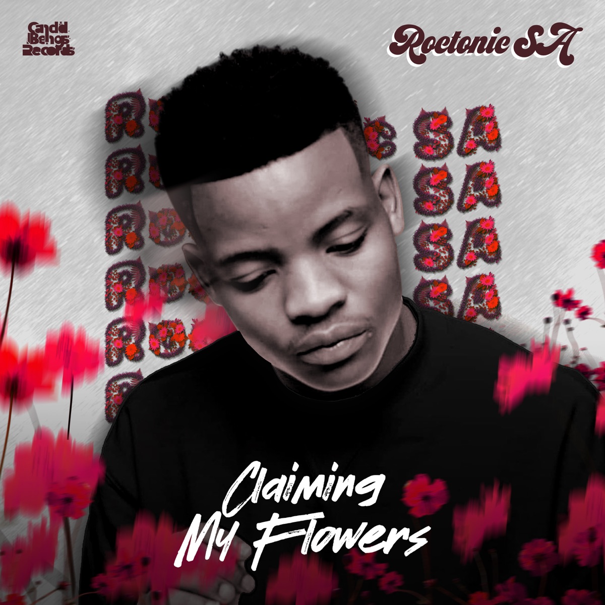 Buzz Me - Single by Roctonic SA album cover