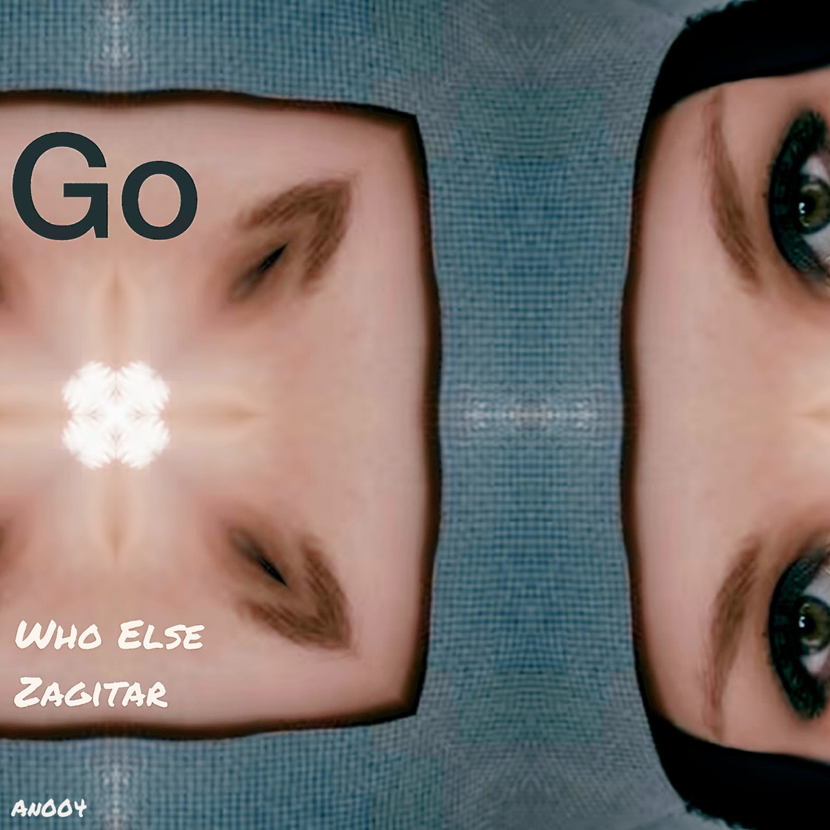 Go (Extended Mix) - Single by Who Else & Zagitar album cover