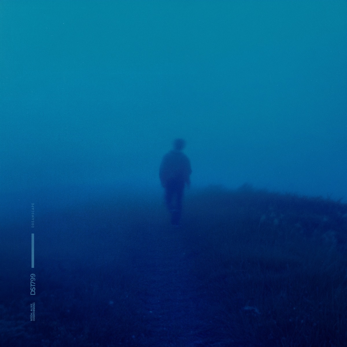 overthinking by Rōōh & alixe. album cover