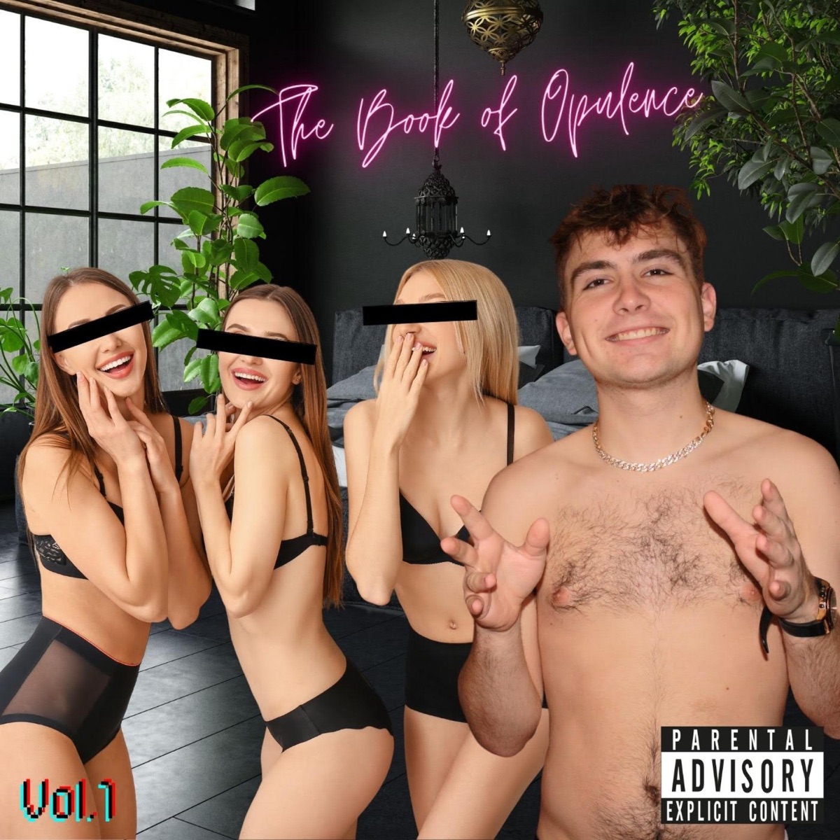 The Book Of Opulence, Vol. 1 by DJ Opulence album cover