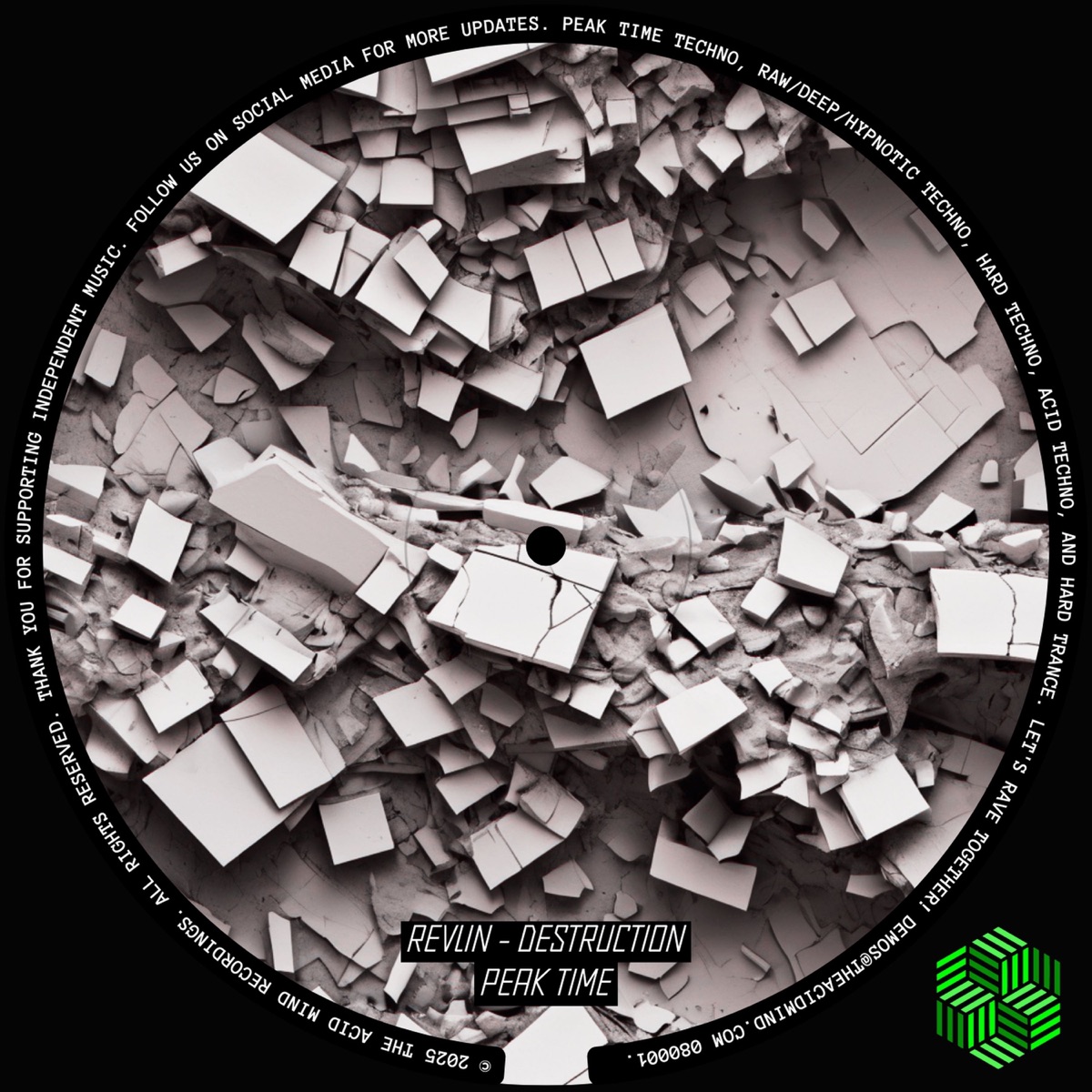 Destruction - Single by REVLIN album cover