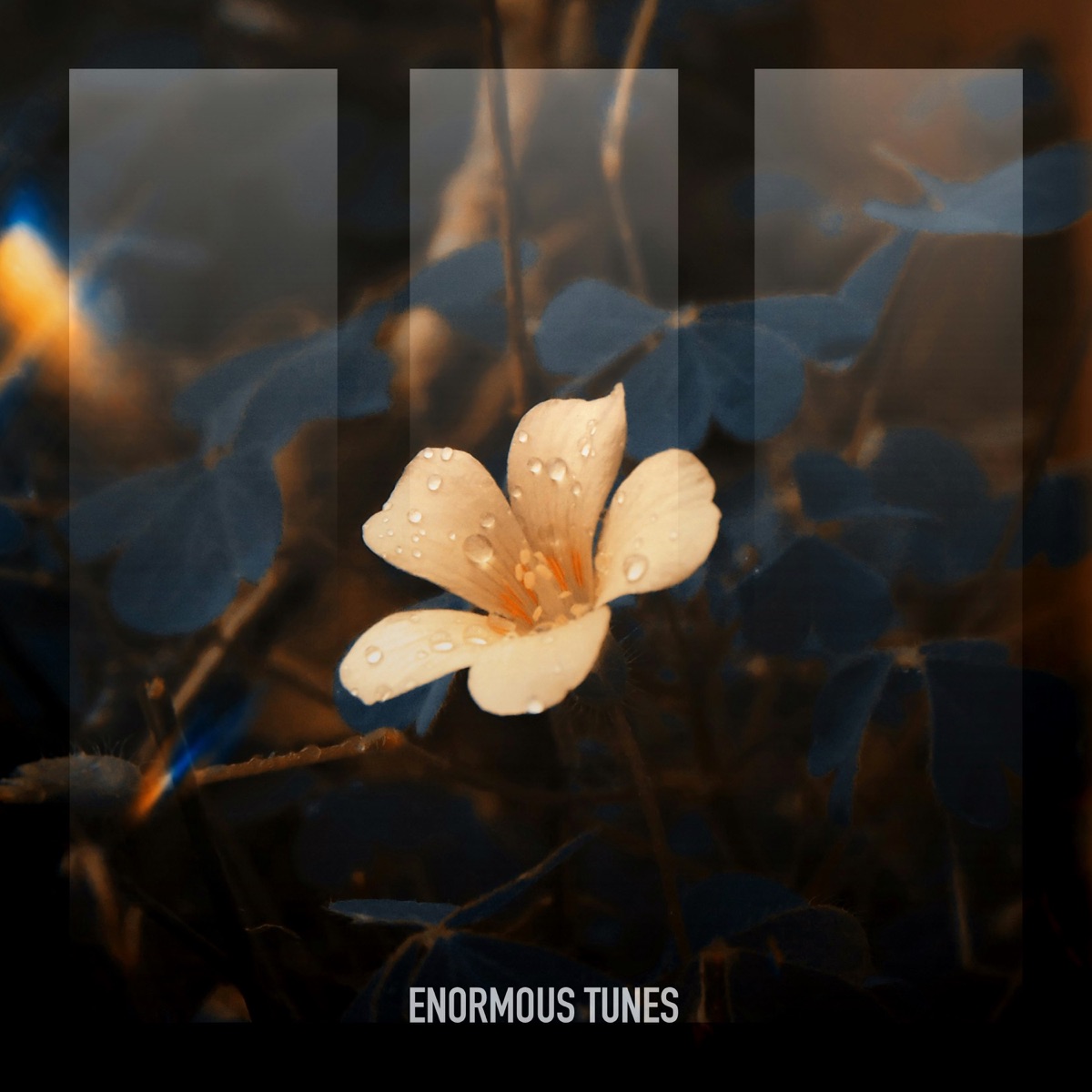 Bloom in the Ashes - Single by MaMan & Passenger 10 album cover