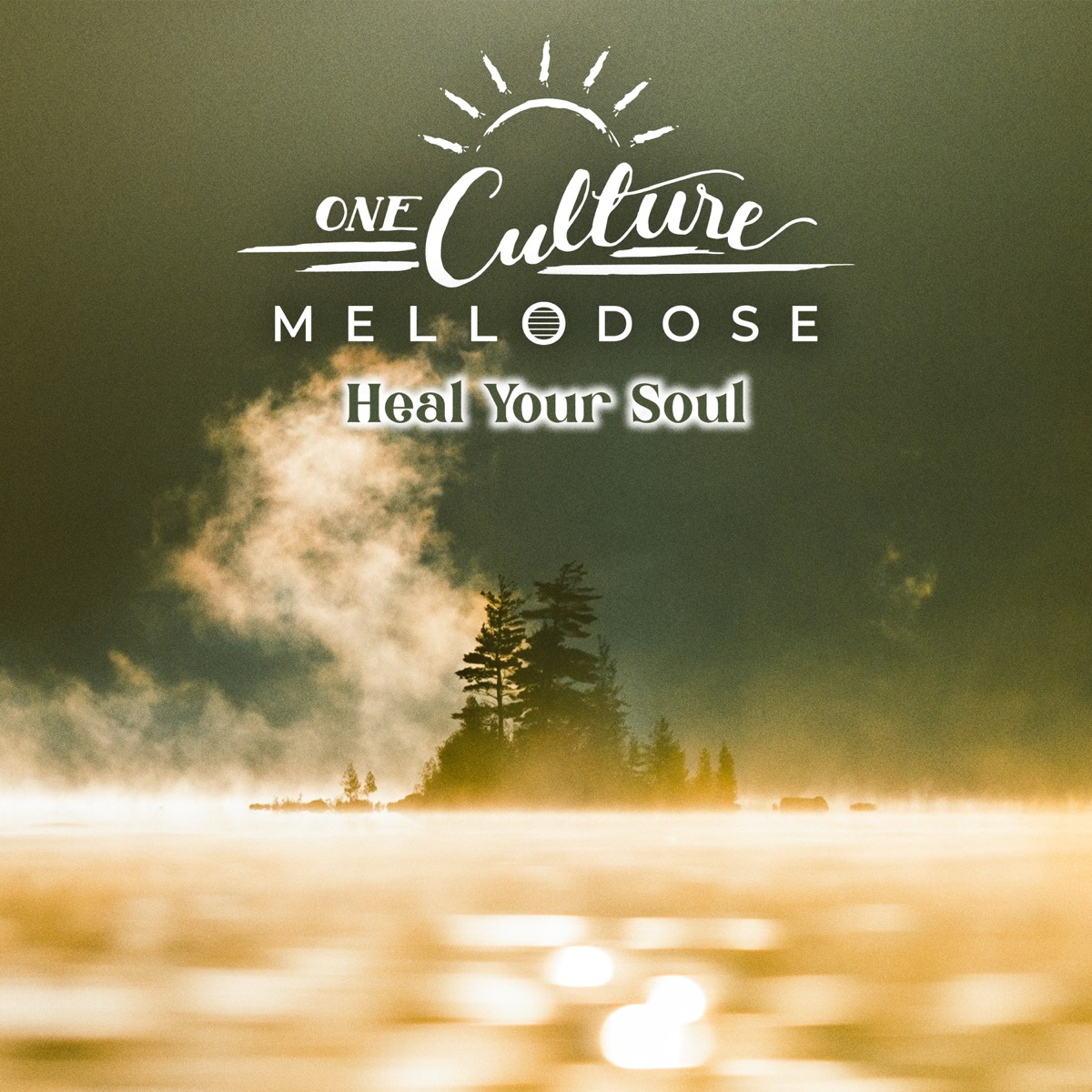Heal Your Soul - Single by One Culture & Mellodose album cover