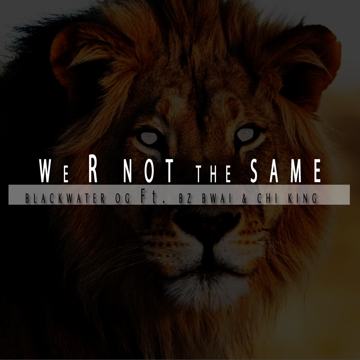 We R Not The Same (feat. Bz Bwai & Chi King) - Single by Blackwater OG album cover