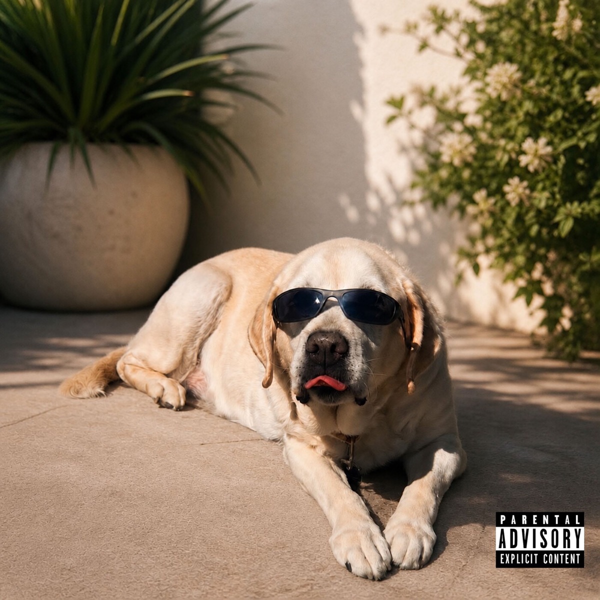 Certified baddie - Single by Rea, Séra Bjössi & Háski album cover