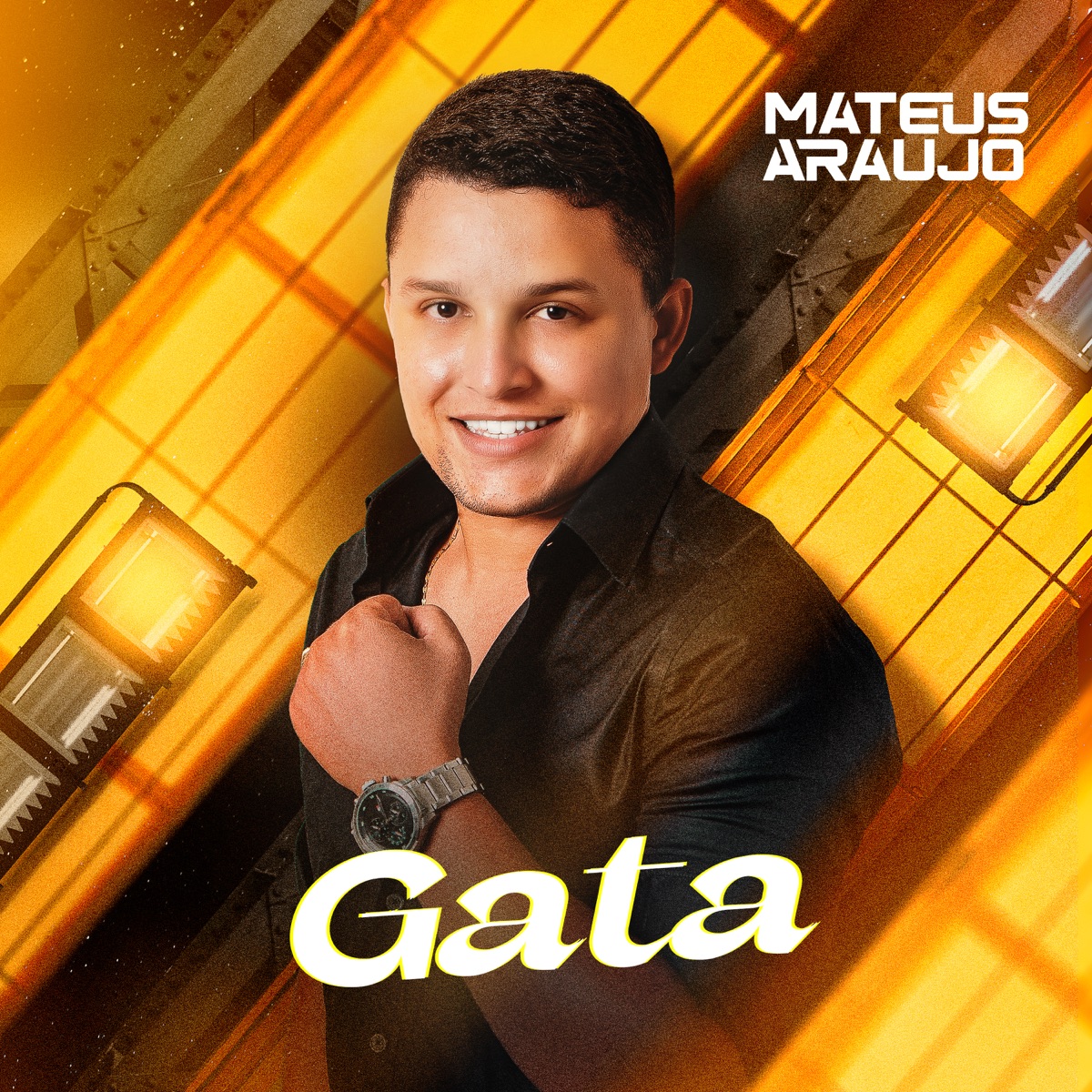 Gata - Single by Mateus Araújo album cover