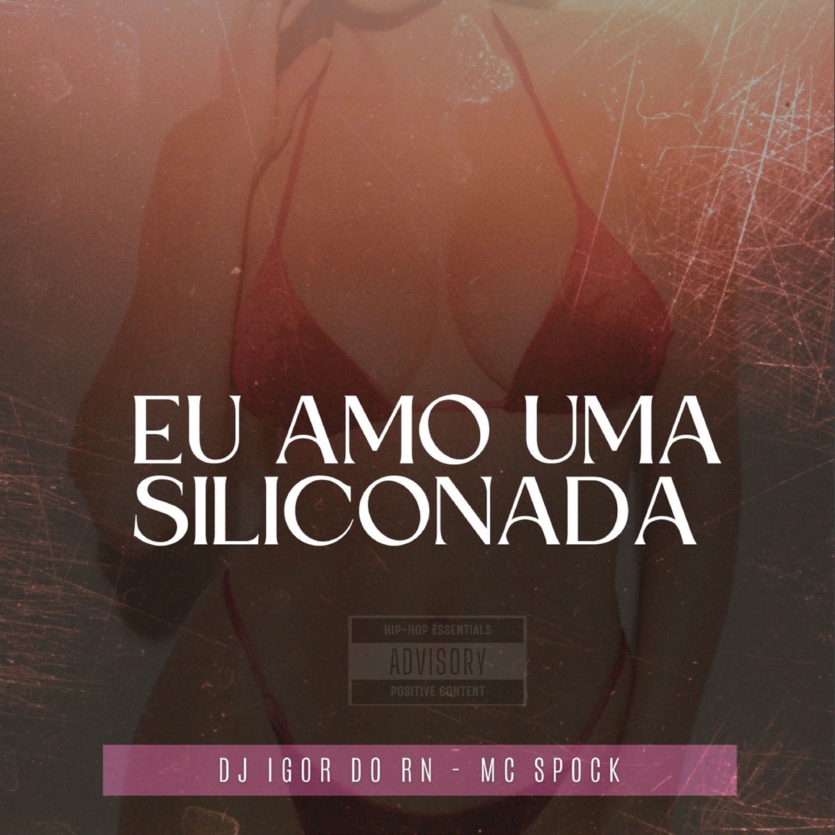 Eu Amo uma Siliconada - Single by DJ IGOR DO RN & Mc Spock album cover