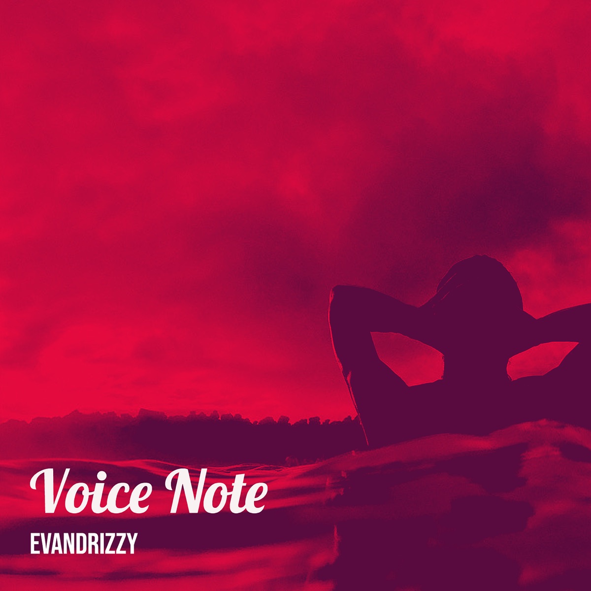 Voice Note - Single by Evandrizzy album cover