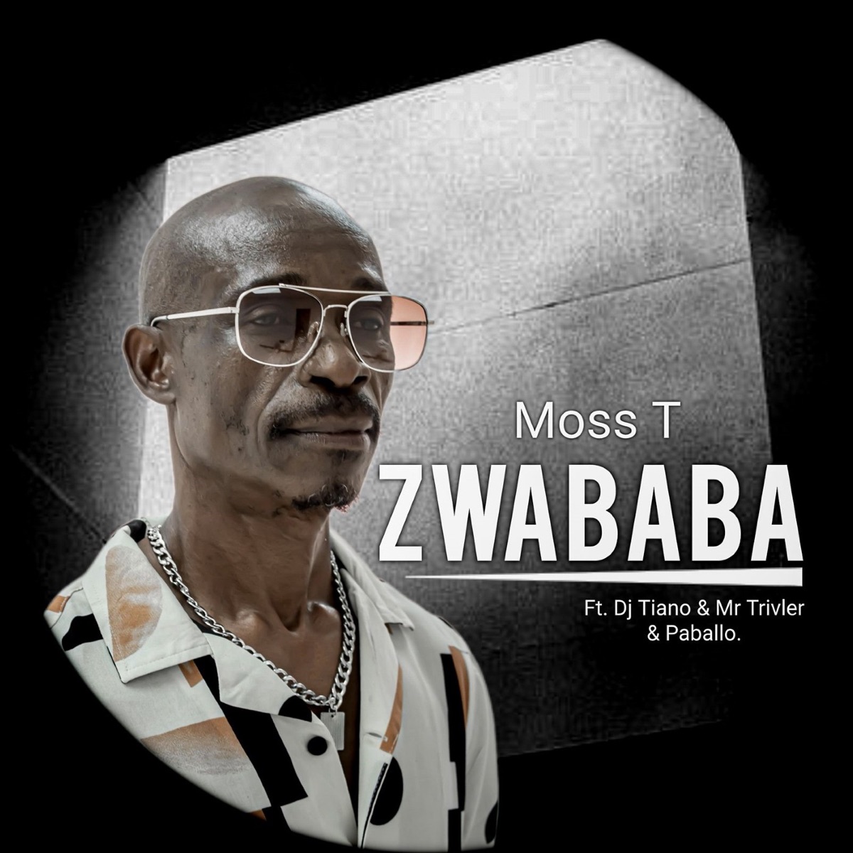 Zwababa (feat. DJ Tiano, Mr Trivler & Paballo) - Single by Moss T album cover