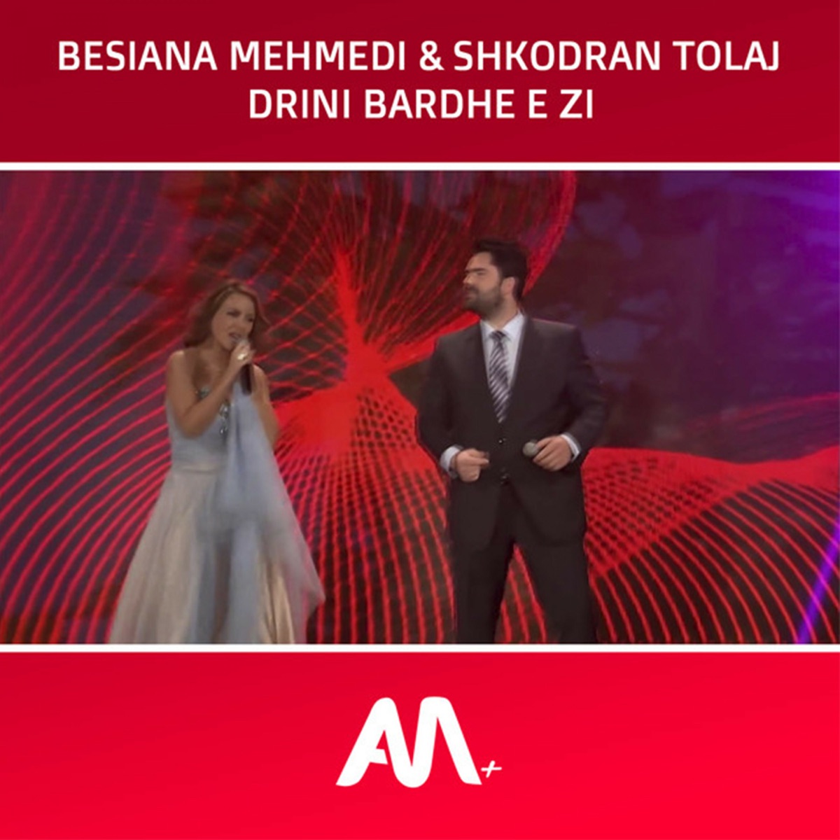 Drini bardh e zi - Single by Art Media +, Besiana Mehmedi & Shkodran Tolaj album cover