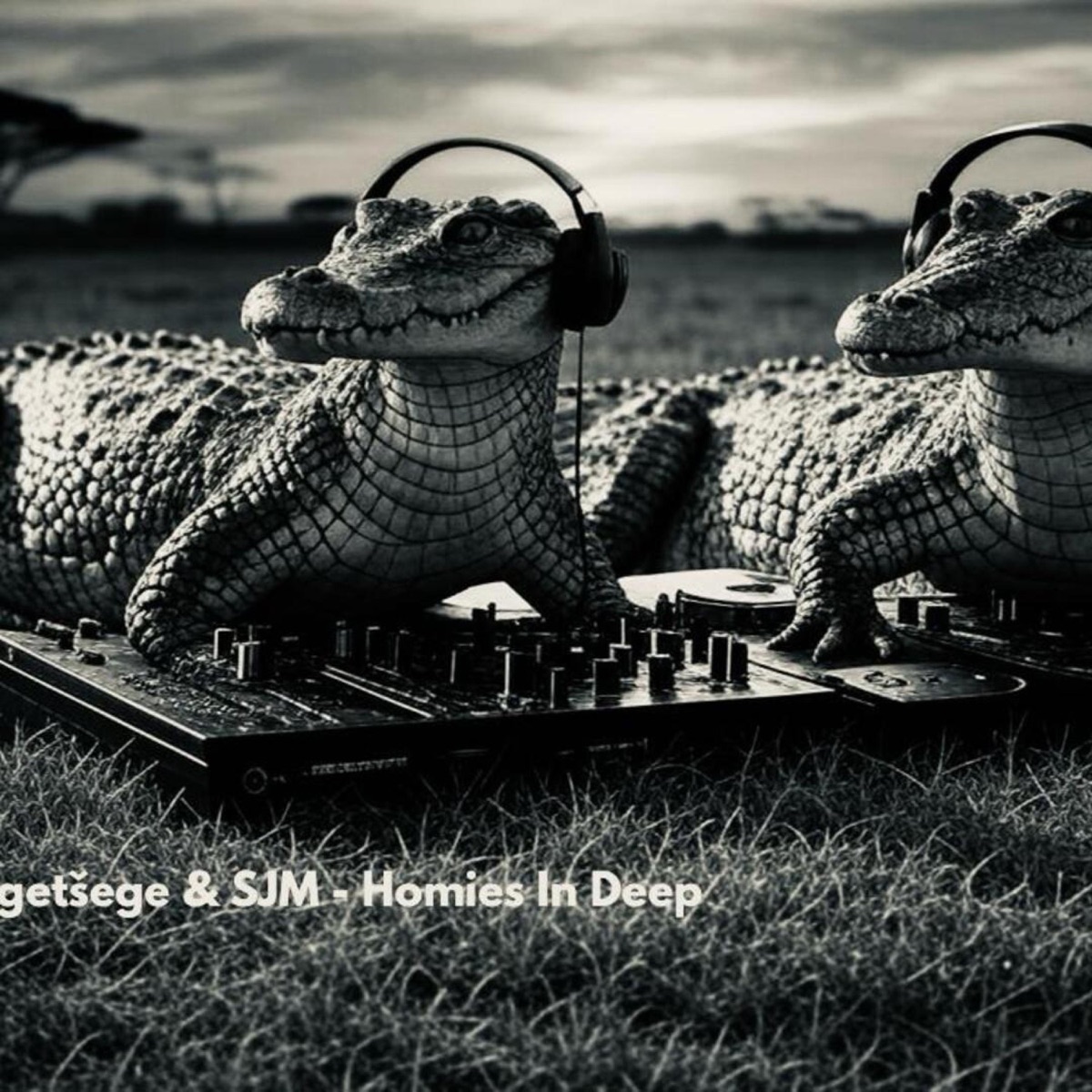Homies In Deep (feat. SJM) - Single by Tšegetšege album cover