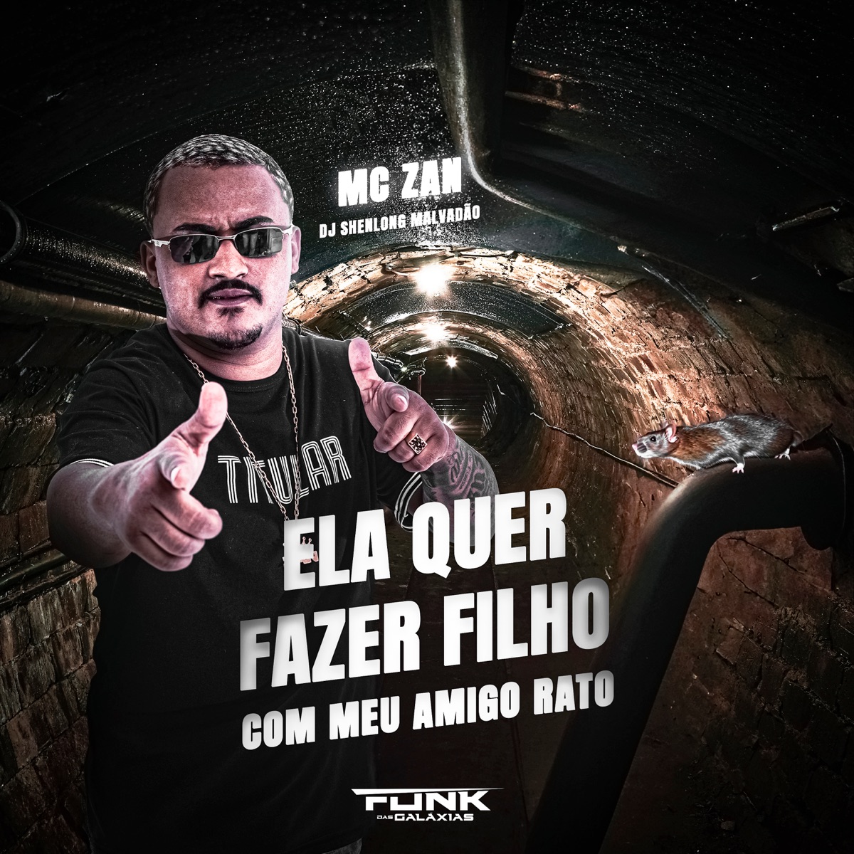 Ela Quer Fazer Filho - Single by mc zan & DJ SHENLONG MALVADÃO album cover