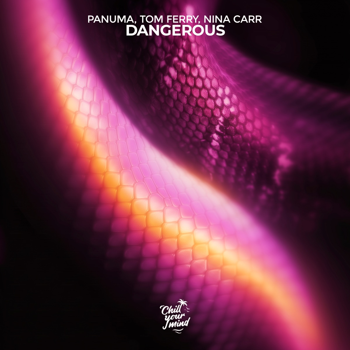 Dangerous - Single by Panuma, Tom Ferry & Nina Carr album cover